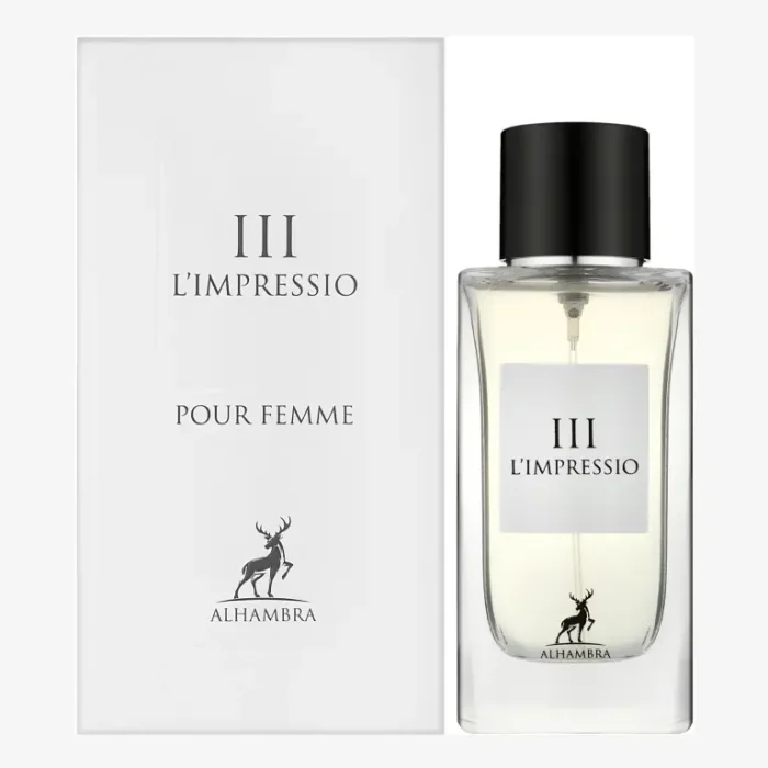 maison alhambra limpressio iii maroc